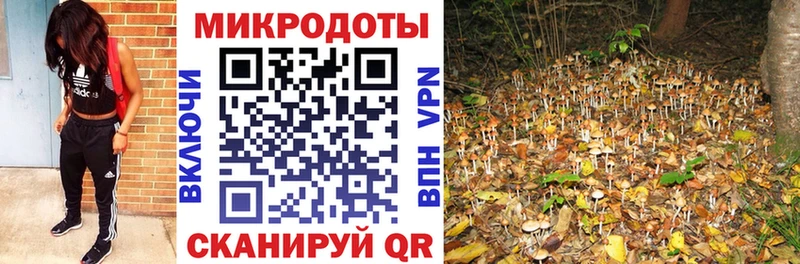 Галлюциногенные грибы мицелий  MEGA как зайти  Ершов  даркнет сайт 
